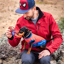 Last inn bildet i Galleri-visningsprogrammet, Hundeleketøy Spiderman   Rød 100 % polyester
